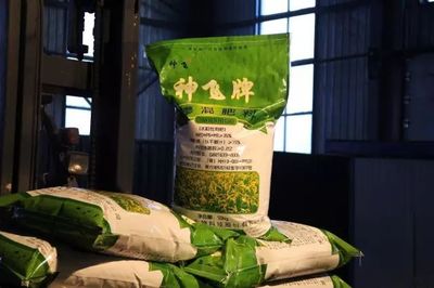 我縣神飛生物科技股份簽訂超千萬元大單，引領(lǐng)復(fù)合微生物肥料研發(fā)新篇章