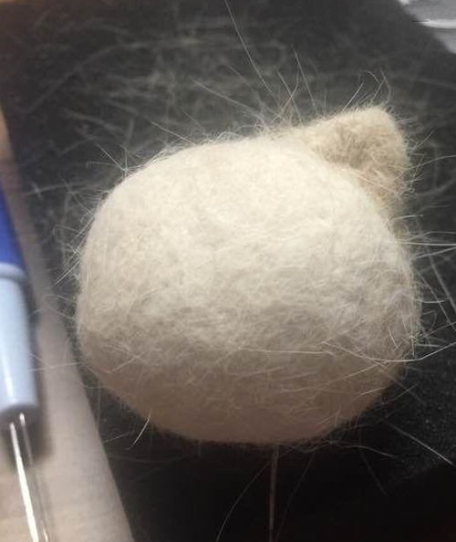 送給愛貓的親們，親手制作的貓毛氈教程，拿走不謝！